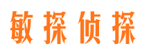 湛河市侦探调查公司